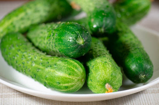 Green cucumber close-up with blur