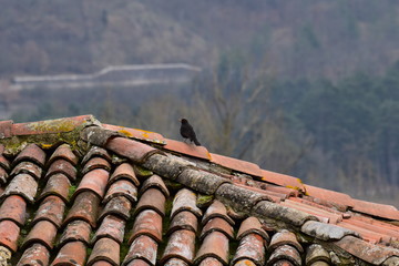 natura uomo e cemento strutture industria 