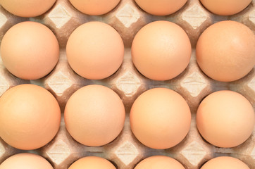 Brown eggs in a cardboard tray for eggs.