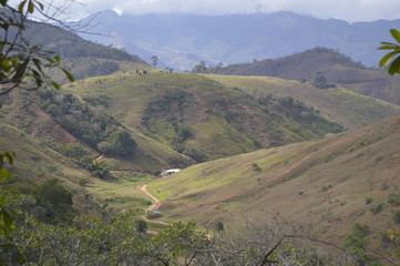 paraíso verde 