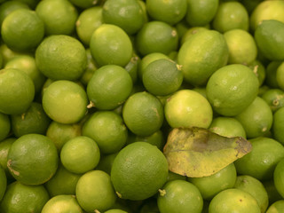 green background, many limes
