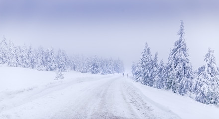 Fototapeta na wymiar Winter landscape on the Brocken near Schierke