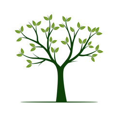 Obraz premium Green Tree. Vector Illustration.