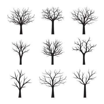 Set Black neked Trees without Leaves. Vector Illustration.