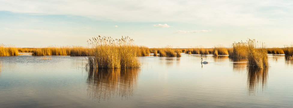 Seewinkel im Nationalpark Neusiedler See (A)