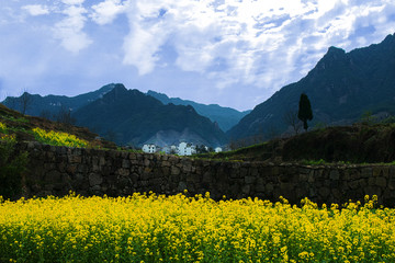 the spring village of south of Anhui province in China