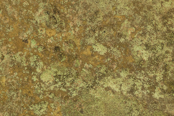 Beautiful relief and texture of stone with patterns. Stone background. Photographed on a sunny day in the spring in the Ukrainian Carpathians. Stone wallpaper. 
