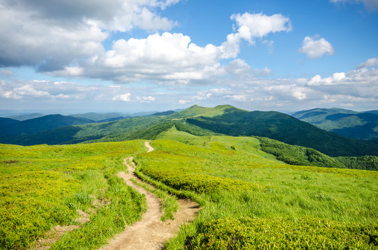 Zielone Bieszczady
