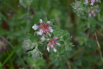 Luna paesaggi monti e landscape 