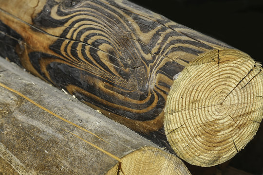 Holzstamm mit Maserung