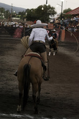 Mexican charro flourishing the rope, brown horse