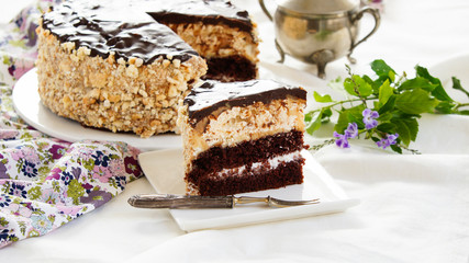 chocolate cake with Dacquoise layer