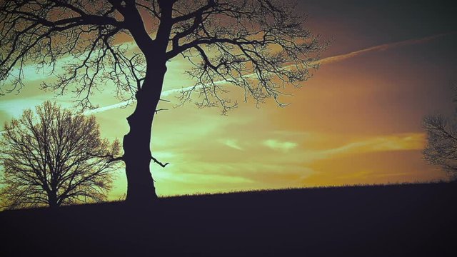 Accult Bilder Durchsuchen 111 Archivfotos, und Videos