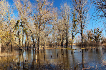 High water and seasonal flood in springtime after melting of snow