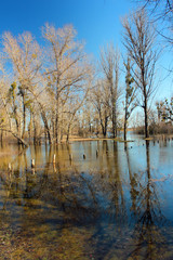 Fototapeta na wymiar High water and seasonal flood in springtime after melting of snow