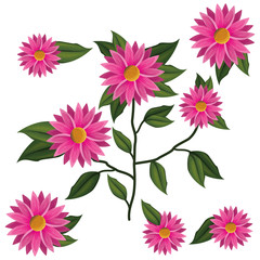 cute violet flower with leafs decorative icon