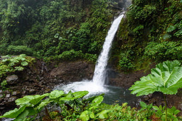 Waterfall in a lush green tropical landscape tumbling into a pool below
