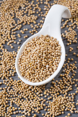 Yellow grain mustard - Sinapis alba