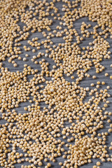 Yellow grain mustard - Sinapis alba