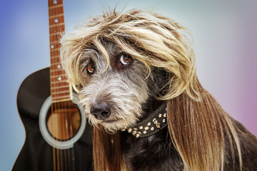 Funny Punk Rock Star Dog - Powered by Adobe