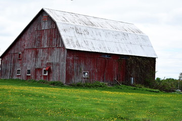 Obraz premium Red Barn