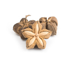 Plukenetia volubilis or sacha inchi peanut seed isolated on white background