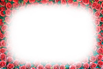 Red color Roses Background, lovely card with copy space