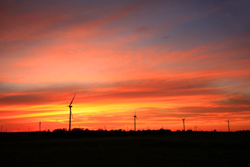 Fototapeta premium Wind turbines in the evening