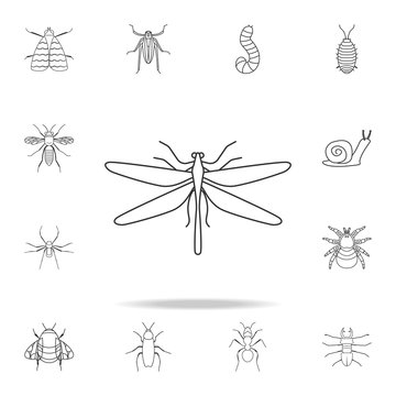 dragonfly icon. Detailed set of insects line illustrations. Premium quality graphic design icon. One of the collection icons for websites, web design, mobile app