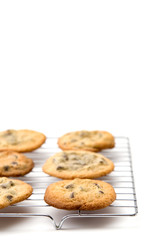 Chocolate Chip Cookies on a White Background