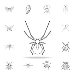 spider icon. Detailed set of insects line illustrations. Premium quality graphic design icon. One of the collection icons for websites, web design, mobile app