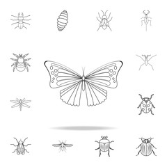 butterfly icon. Detailed set of insects line illustrations. Premium quality graphic design icon. One of the collection icons for websites, web design, mobile app