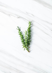 rosemary on marble background