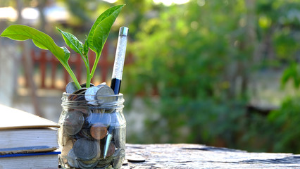 Insurance money savings, retirement planning ,travel and investment ideas, passive income.education plan