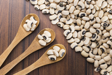 Black-headed beans, Vigna unguiculata