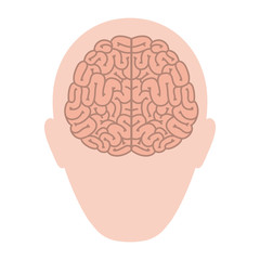 head profile human with brain