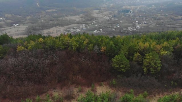 Aerial View from drone of forest with green trees. Shot over the north european wood. Small settlement village in the ravine. Cinematic tonned.