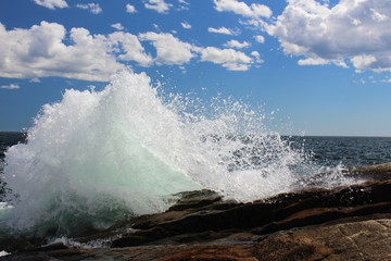 Ocean Spray