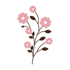 beautiful flowers with leafs decorative vector illustration design