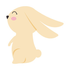 cute rabbit easter celebration vector illustration design