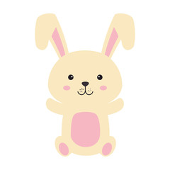 Fototapeta premium cute rabbit easter celebration vector illustration design