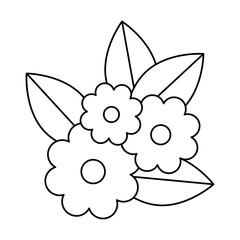 beautiful flowers with leafs decorative vector illustration design