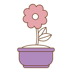 beautiful flowers in pot decorative vector illustration design