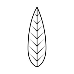 leaf drawing decorative icon vector illustration design
