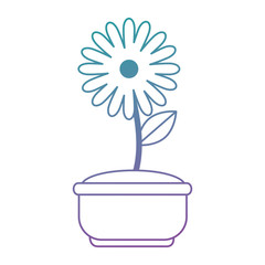 beautiful flowers in pot decorative vector illustration design