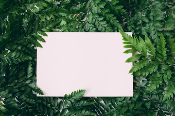 Green leaves background with white space