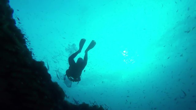 diver surrounded by a group of fish