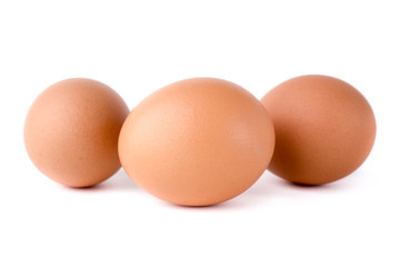 eggs on white background