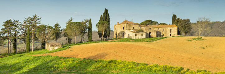 Fototapeta na wymiar morning panorama of tuscany landscape in Italy