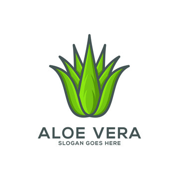 aloe vera vector illustrtaion, aloe vera logo